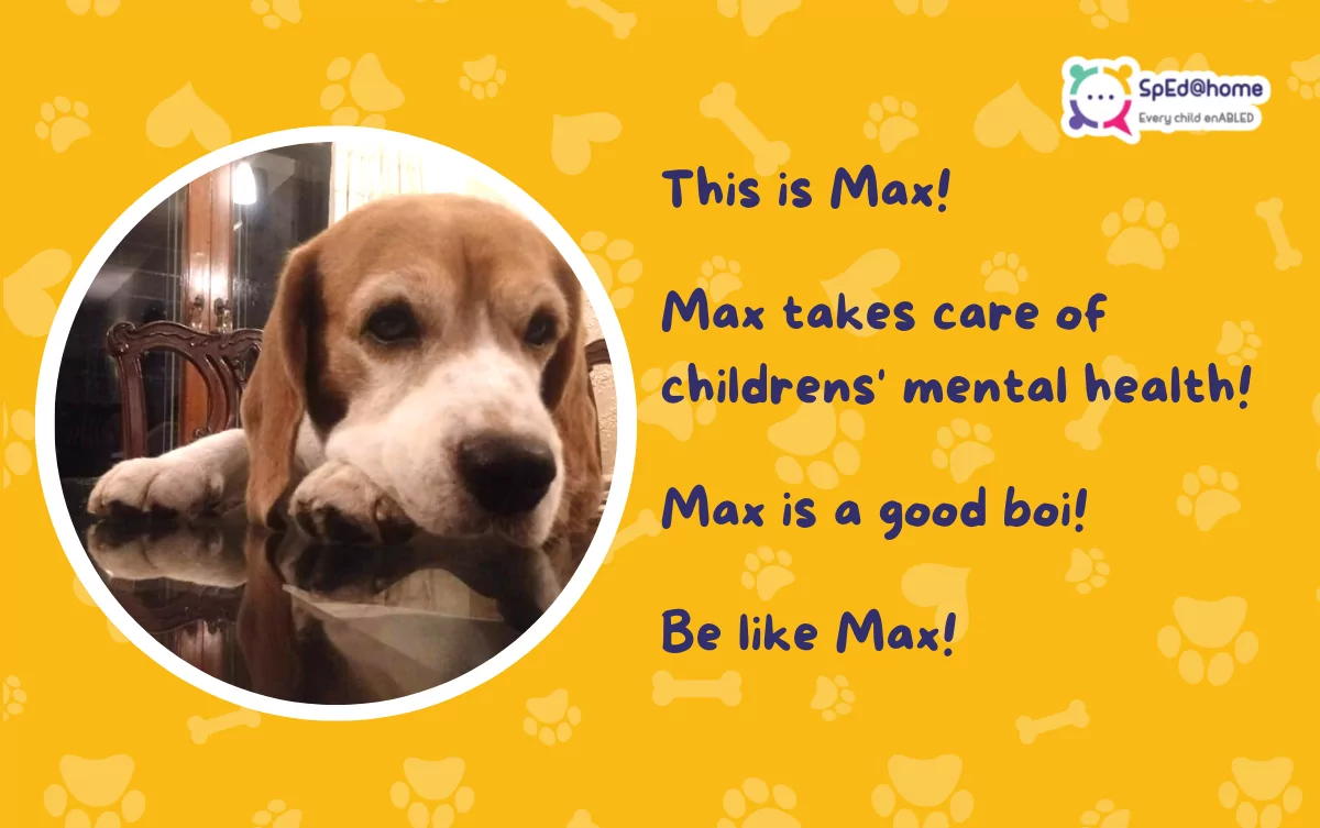 Therapy Dogs!